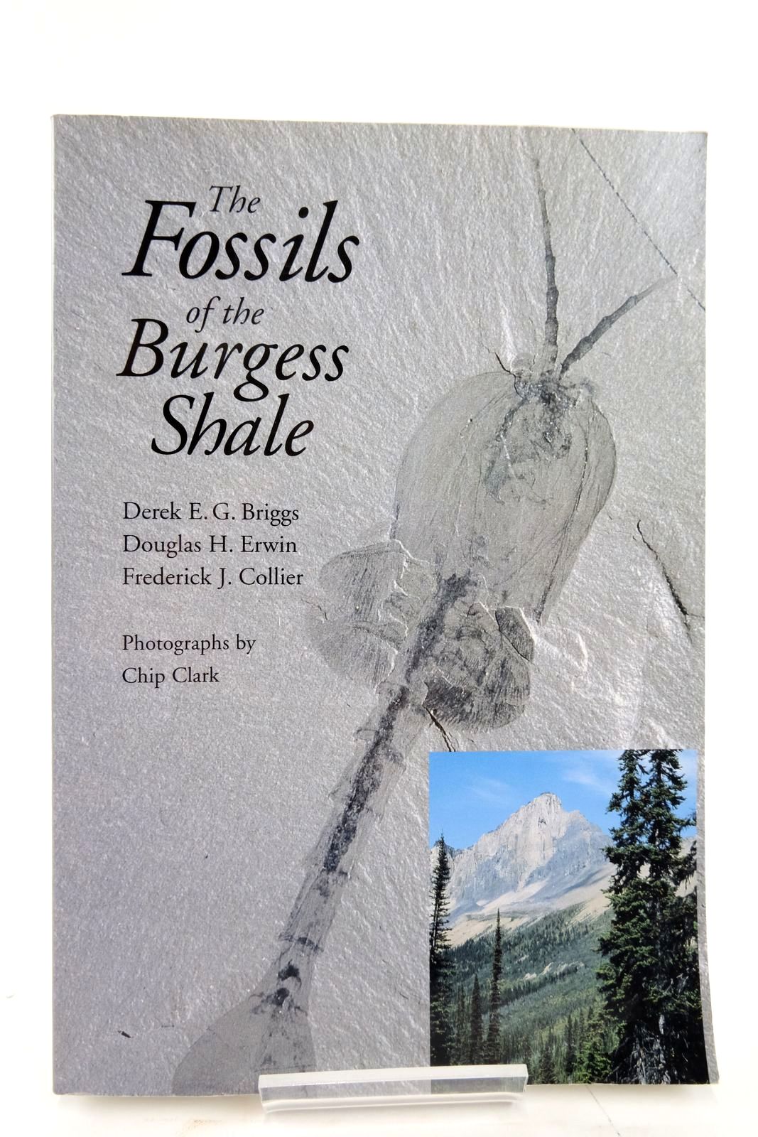 Stella Rose S Books The Fossils Of The Burgess Shale Written By