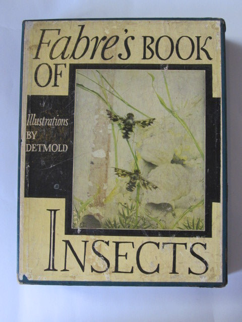 Fabres Book Of Insects Written By Stawell Mrs Rodolphbr - 