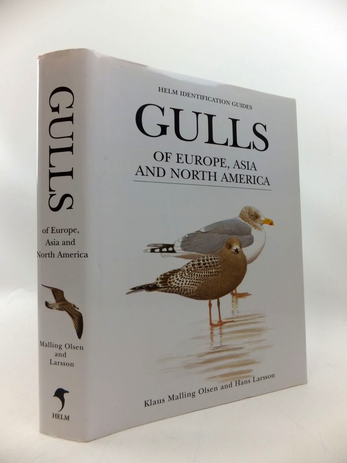 Gulls Of Europe Asia And North America Helm Identification - 