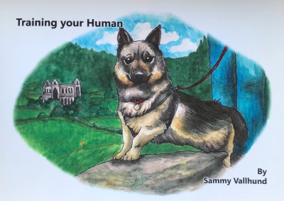 Training your Human by Sammy Valhund