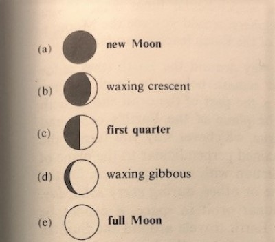 Phases of the Moon (1)