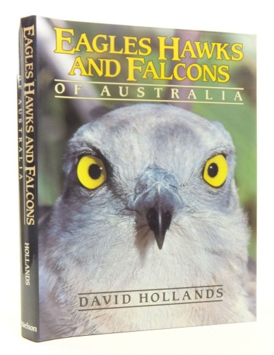 Eagles Hawks and Falcons of Australia by David Hollands