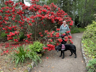 Inverewe Gardens