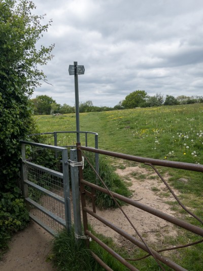 First & Second Field