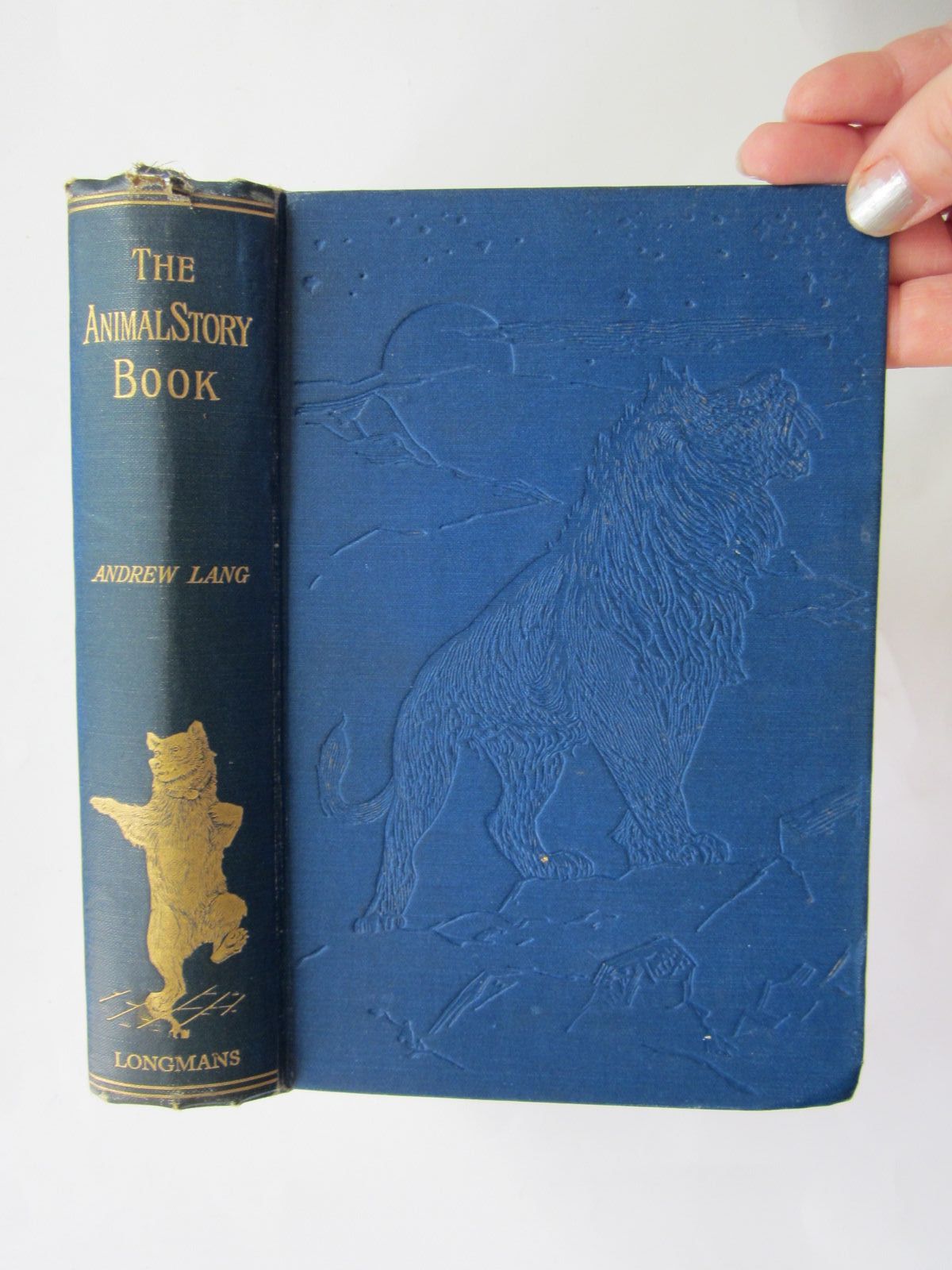 Cover of THE ANIMAL STORY BOOK by Andrew Lang