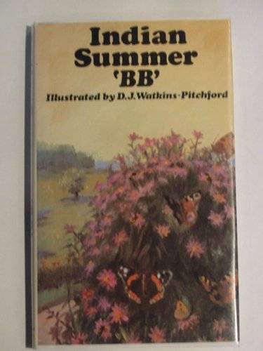 Cover of INDIAN SUMMER by  BB