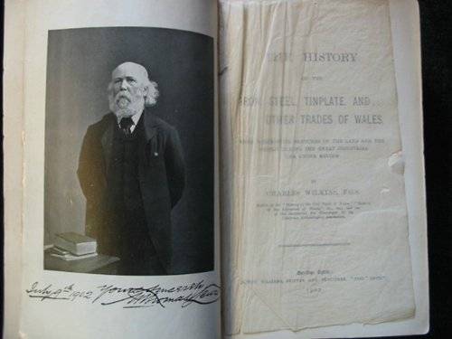 Cover of THE HISTORY OF THE IRON, STEEL, TINPLATE, AND OTHER TRADES OF WALES by Charles Wilkins