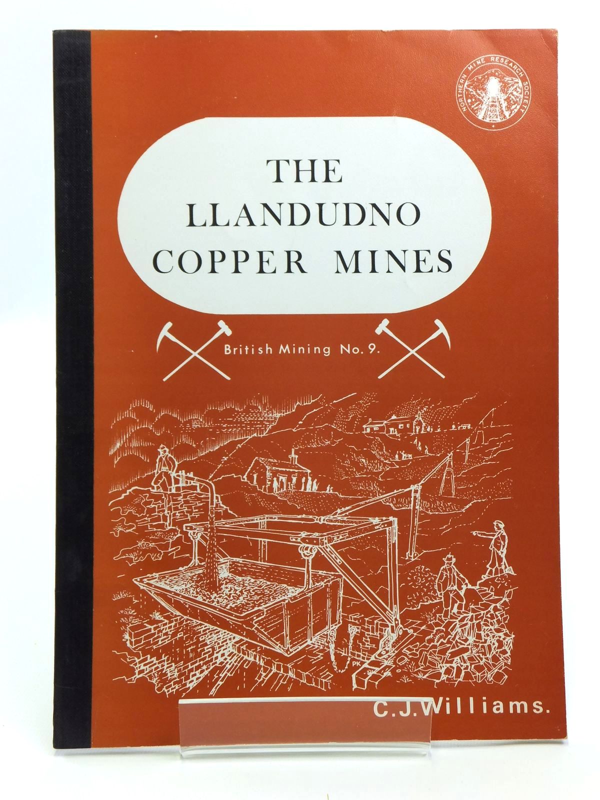 Cover of THE LLANDUDNO COPPER MINES by C.J. Williams