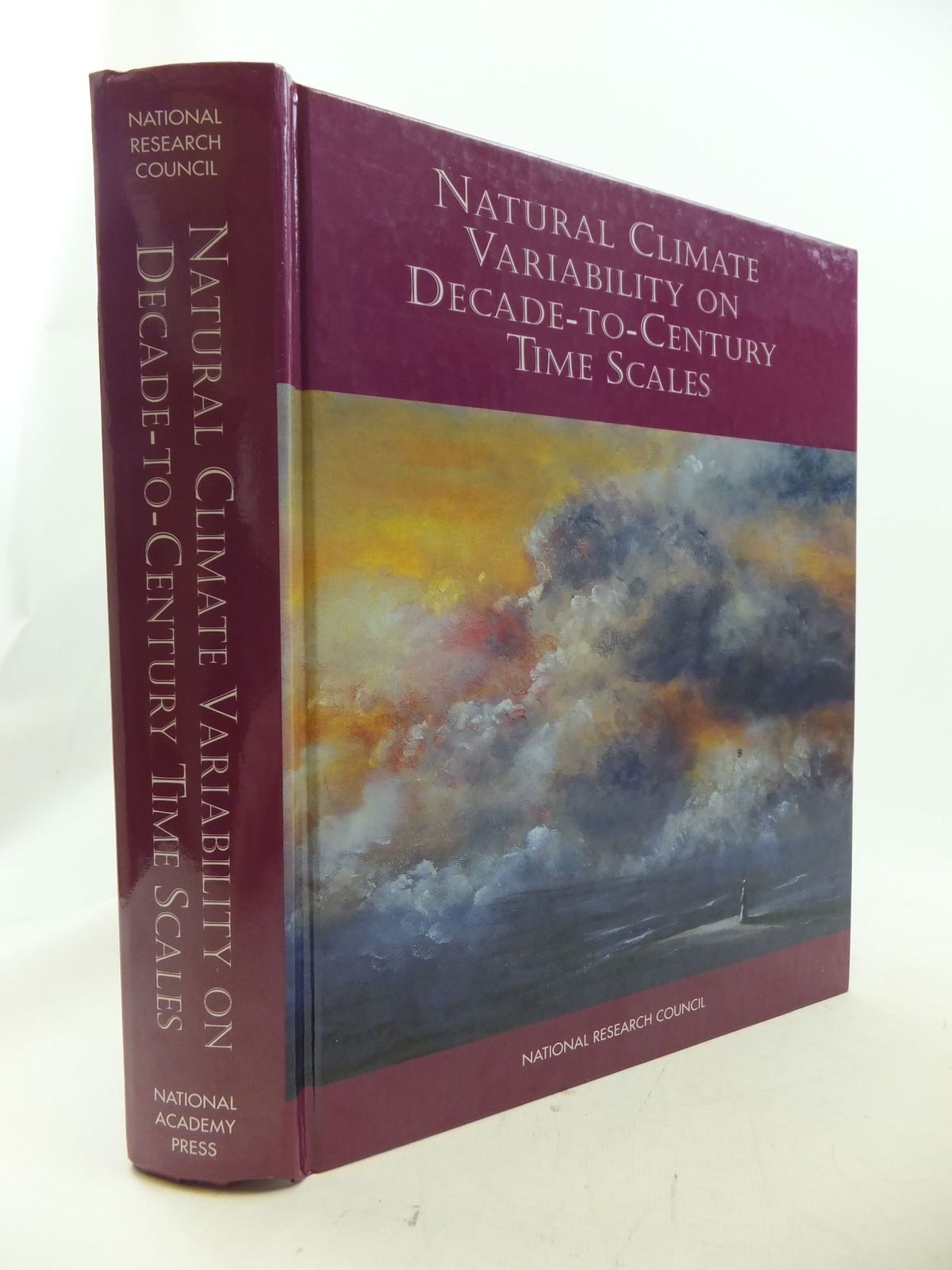 Cover of NATURAL CLIMATE VARIABILITY ON DECADE-TO-CENTURY TIME SCALES by Douglas G. Martinson;  et al
