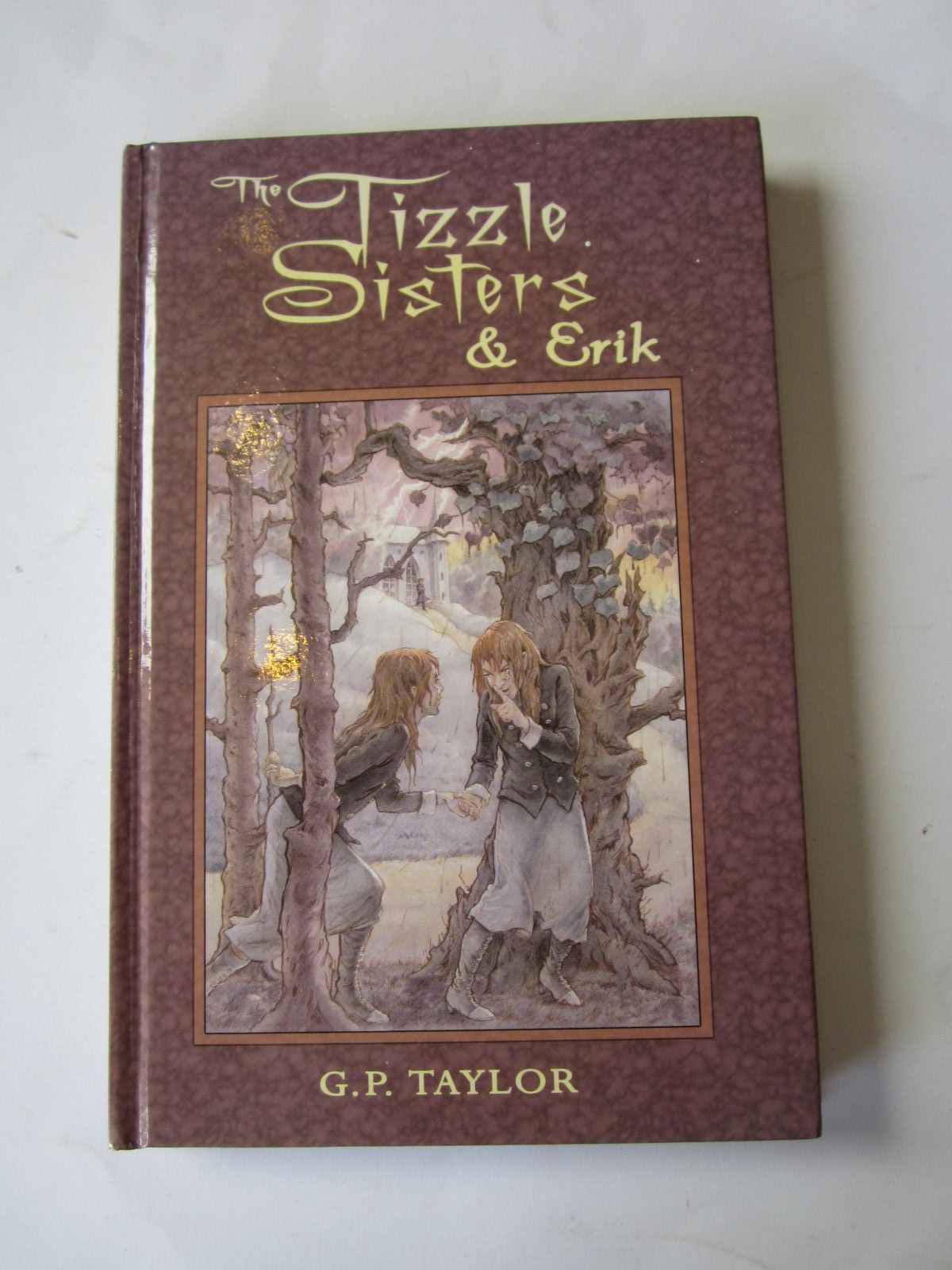 Cover of THE TIZZLE SISTERS & ERIK by G.P. Taylor