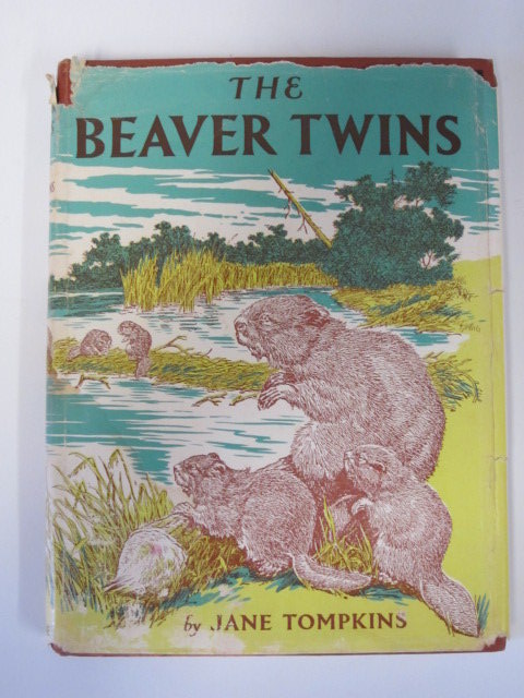 Cover of THE BEAVER TWINS by Jane Tompkins
