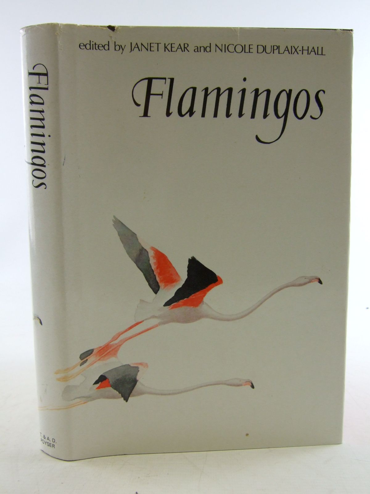 Cover of FLAMINGOS by Janet Kear; Nicole Duplaix-Hall;  et al