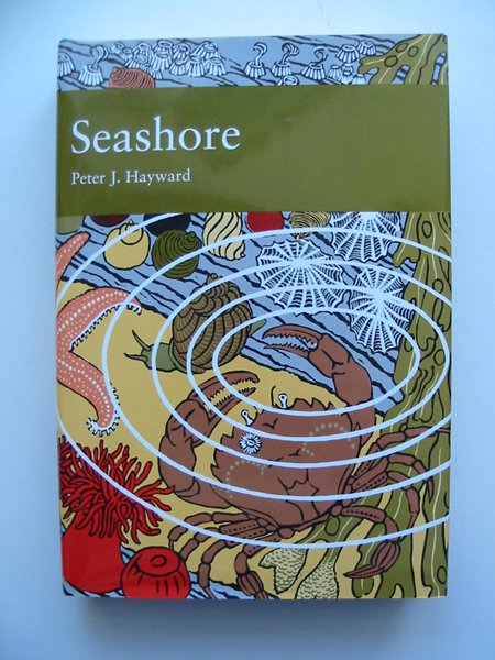 Cover of A NATURAL HISTORY OF THE SEASHORE (NN 94) by Peter J. Hayward