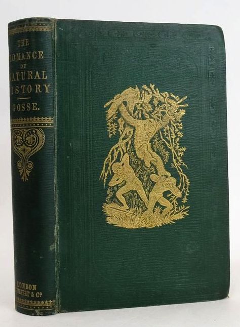 Cover of THE ROMANCE OF NATURAL HISTORY by Philip Henry Gosse