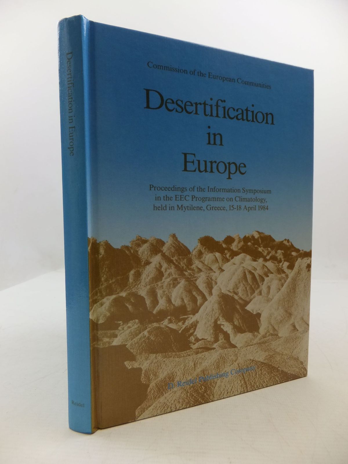 Cover of DESERTIFICATION IN EUROPE by R. Fantechi; N.S. Margaris