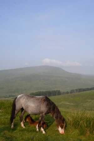 View from Corn Du toward Fan Fawr