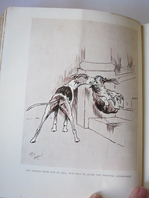 Photo of THE DOGS OF WAR written by Emanuel, Walter illustrated by Aldin, Cecil published by Bradbury, Agnew & Co. Ltd. (STOCK CODE: 1105958)  for sale by Stella & Rose's Books