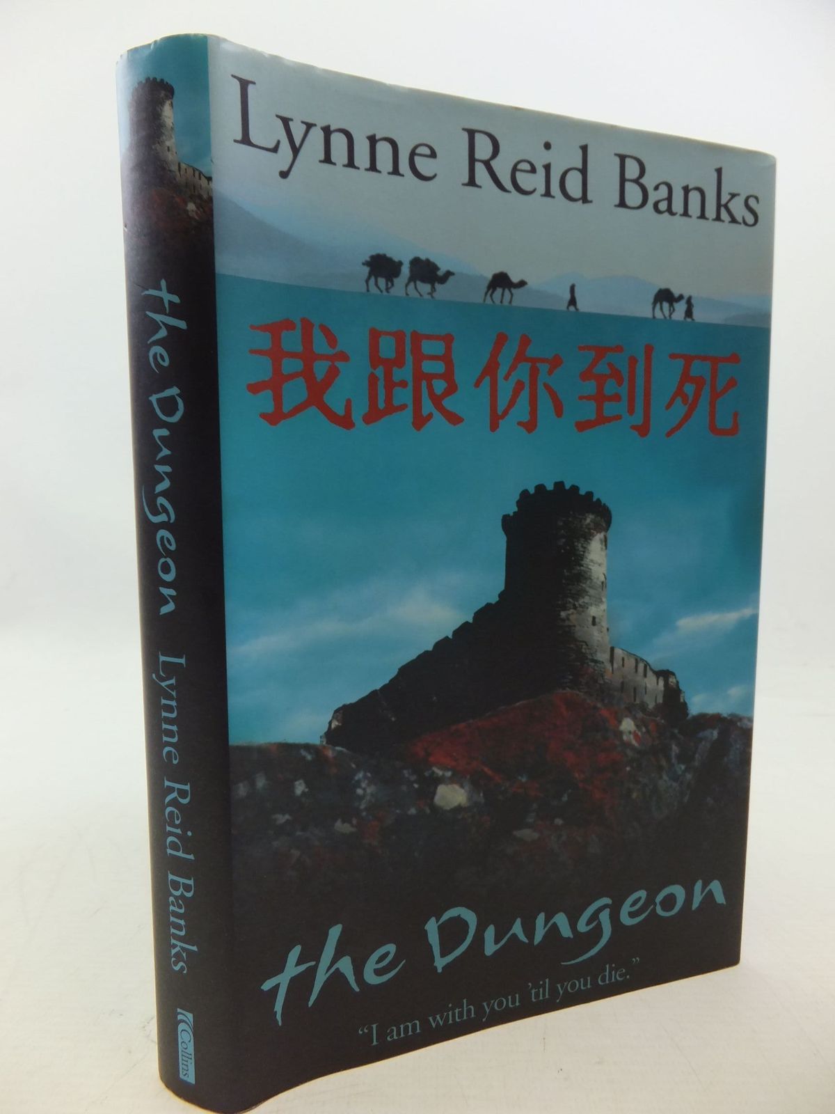 Photo of THE DUNGEON written by Banks, Lynne Reid published by Collins (STOCK CODE: 1207935)  for sale by Stella & Rose's Books