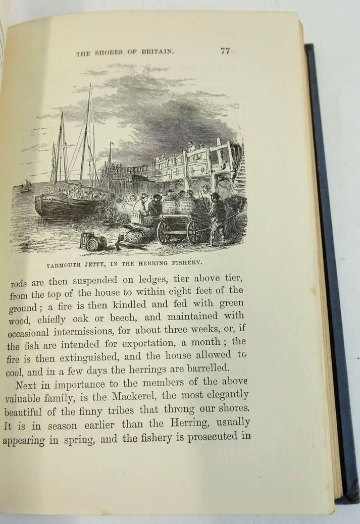 Photo of THE OCEAN- Stock Number: 1208917