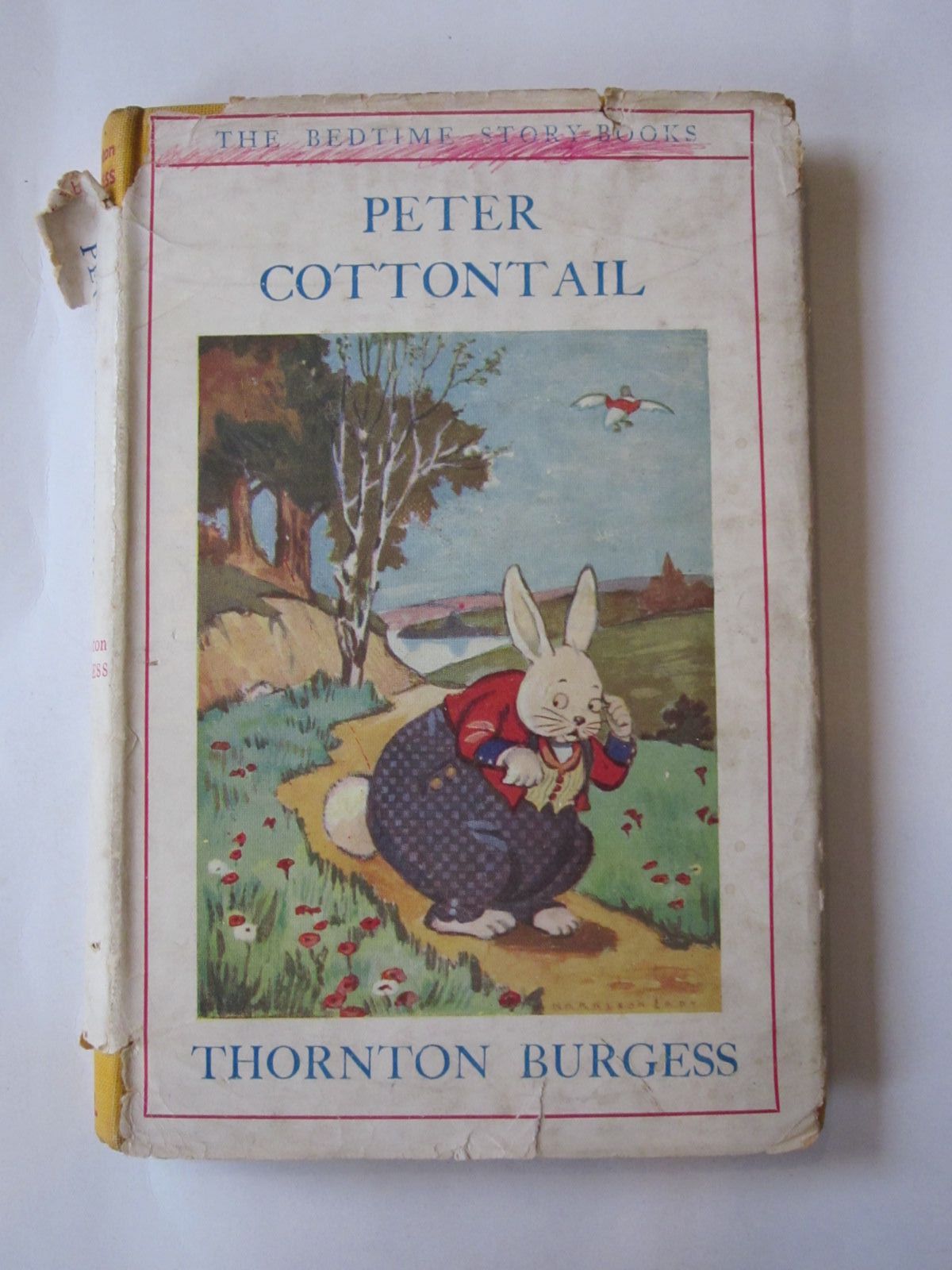 Stella & Rose's Books : THE ADVENTURES OF PETER COTTONTAIL Written By