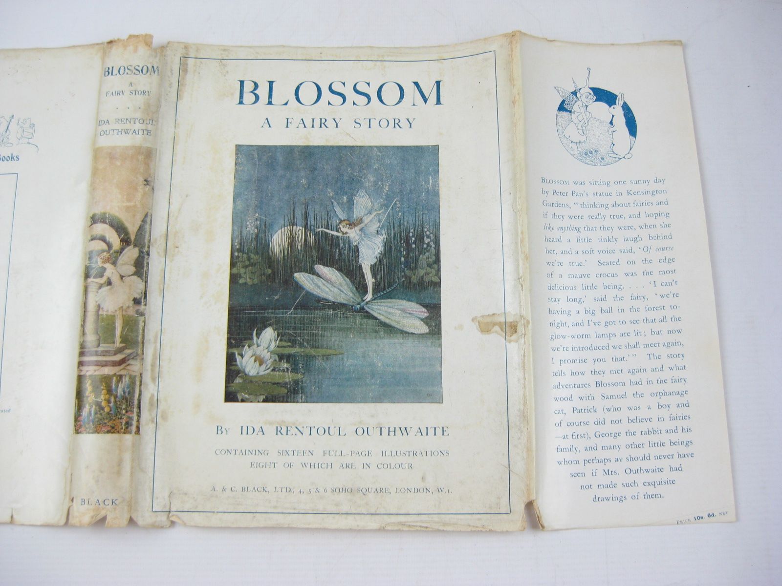 Photo of BLOSSOM A FAIRY STORY written by Outhwaite, Ida Rentoul illustrated by Outhwaite, Ida Rentoul published by A. & C. Black Ltd. (STOCK CODE: 1314196)  for sale by Stella & Rose's Books