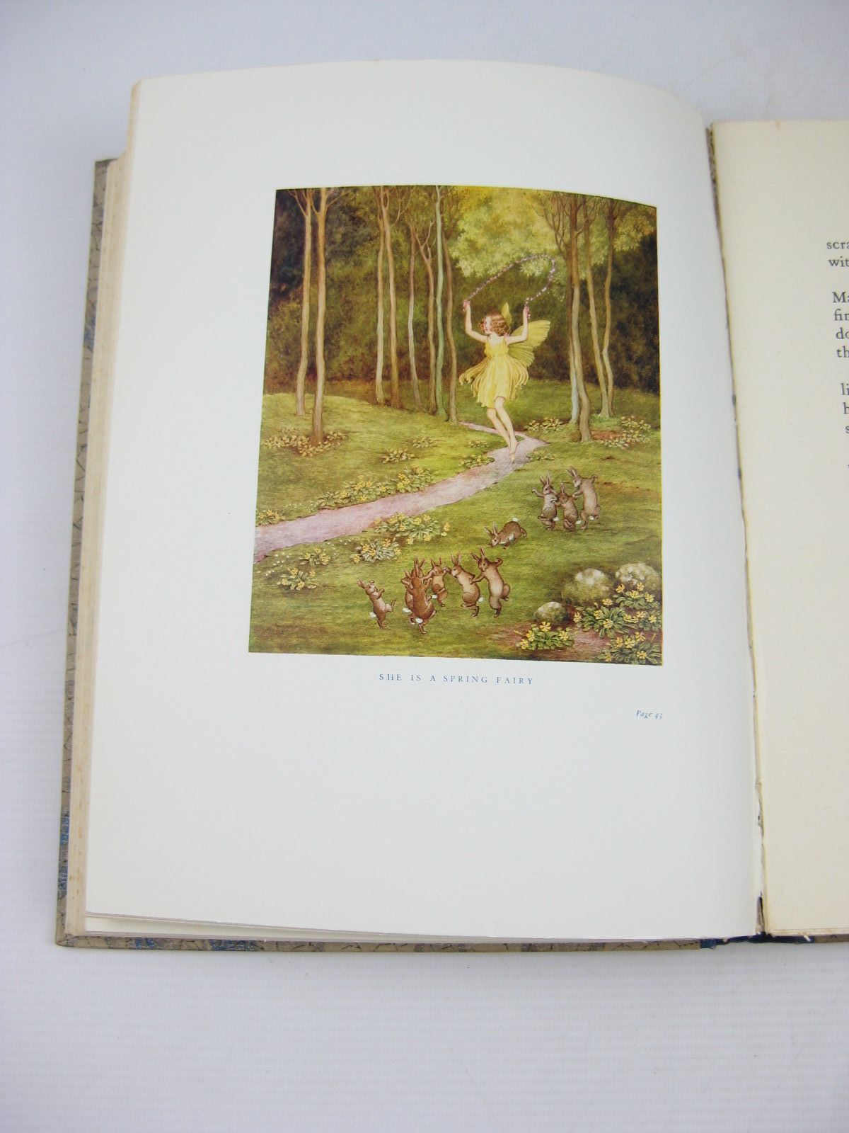 Photo of BLOSSOM A FAIRY STORY written by Outhwaite, Ida Rentoul illustrated by Outhwaite, Ida Rentoul published by A. & C. Black Ltd. (STOCK CODE: 1314196)  for sale by Stella & Rose's Books
