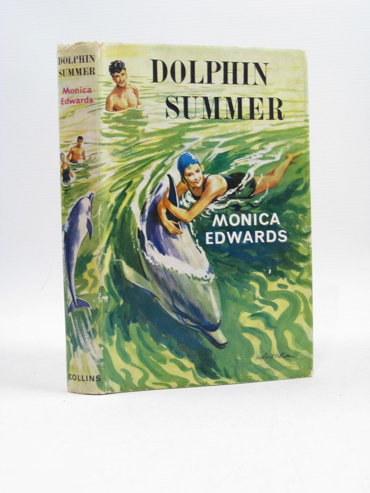 Photo of DOLPHIN SUMMER- Stock Number: 1314488