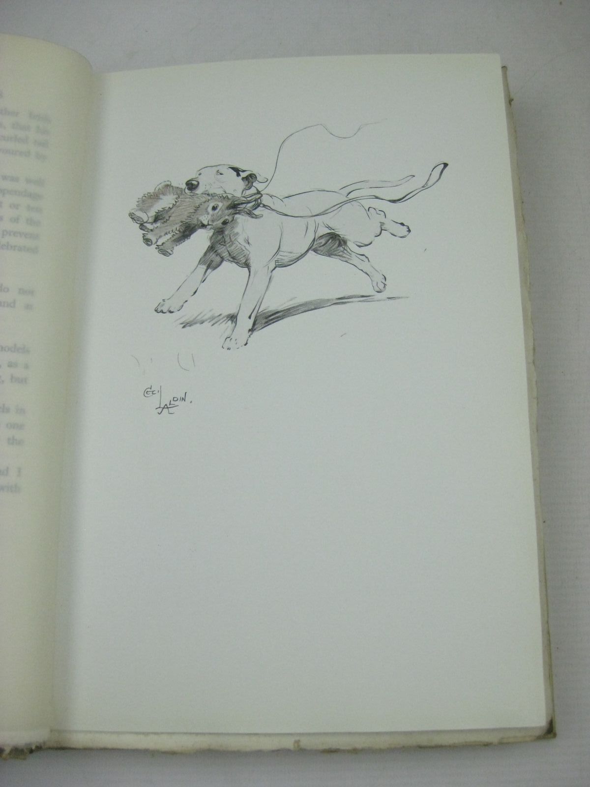 Photo of AN ARTIST'S MODELS written by Aldin, Cecil illustrated by Aldin, Cecil published by H. F. & G. Witherby (STOCK CODE: 1316213)  for sale by Stella & Rose's Books