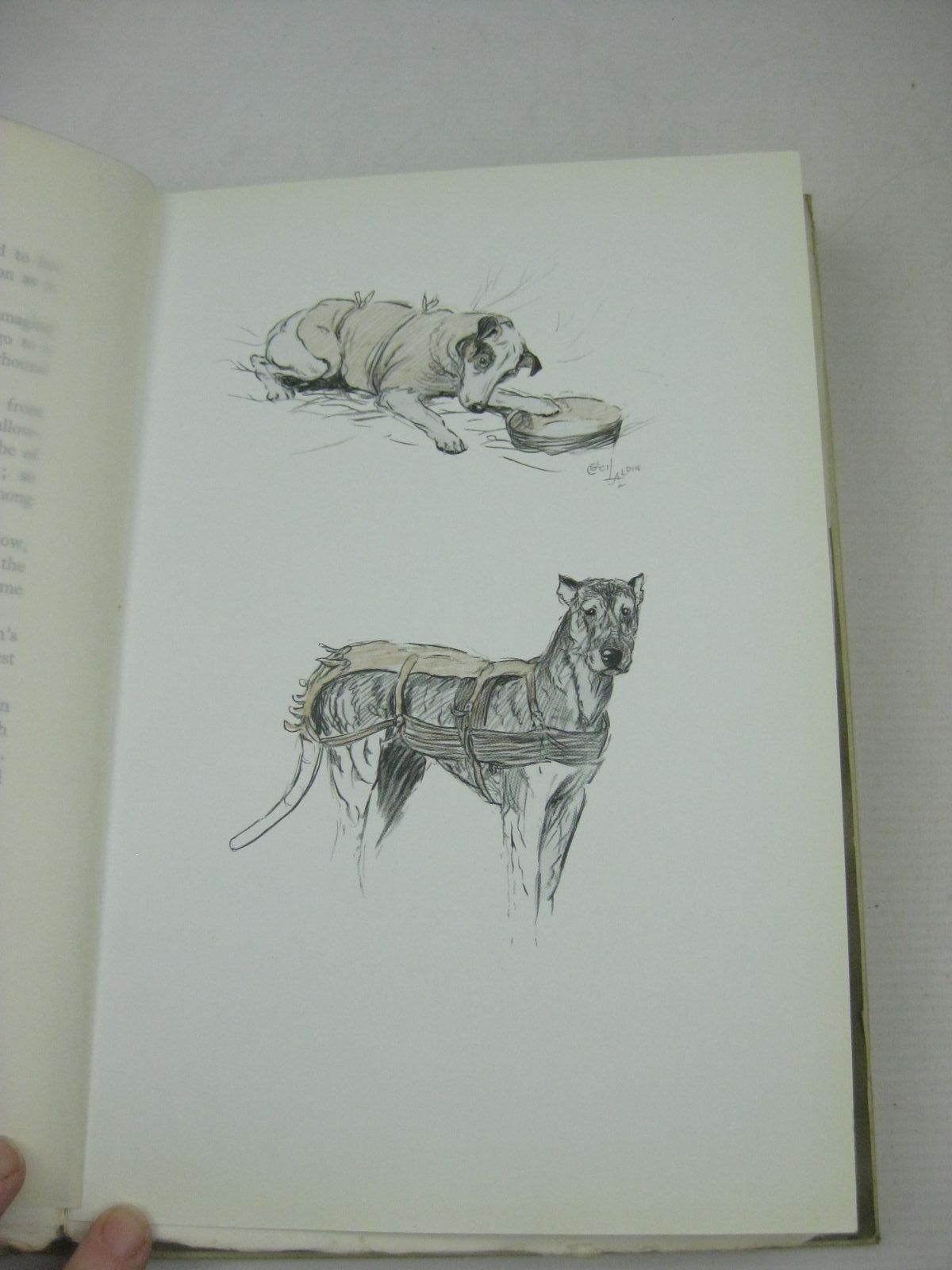 Photo of AN ARTIST'S MODELS written by Aldin, Cecil illustrated by Aldin, Cecil published by H. F. & G. Witherby (STOCK CODE: 1316213)  for sale by Stella & Rose's Books