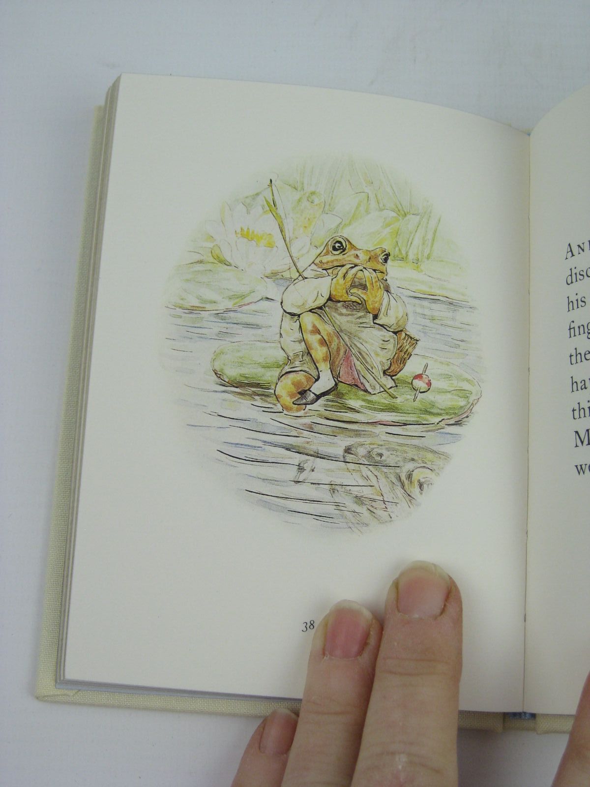 Photo of THE TALE OF MR. JEREMY FISHER written by Potter, Beatrix illustrated by Potter, Beatrix published by Frederick Warne, The Penguin Group (STOCK CODE: 1316349)  for sale by Stella & Rose's Books
