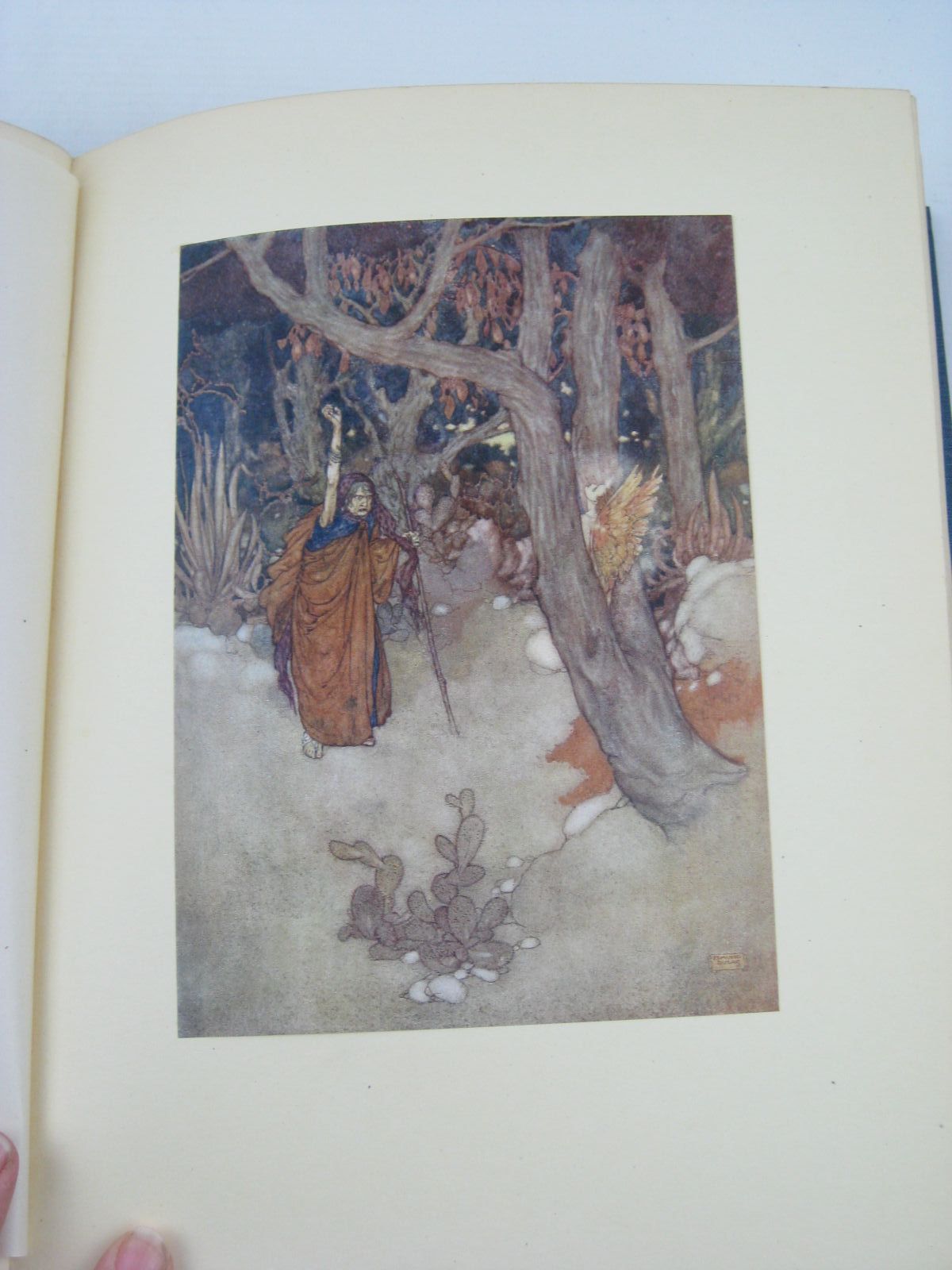 Photo of SHAKESPEARE'S COMEDY OF THE TEMPEST written by Shakespeare, William illustrated by Dulac, Edmund published by Hodder & Stoughton (STOCK CODE: 1316416)  for sale by Stella & Rose's Books