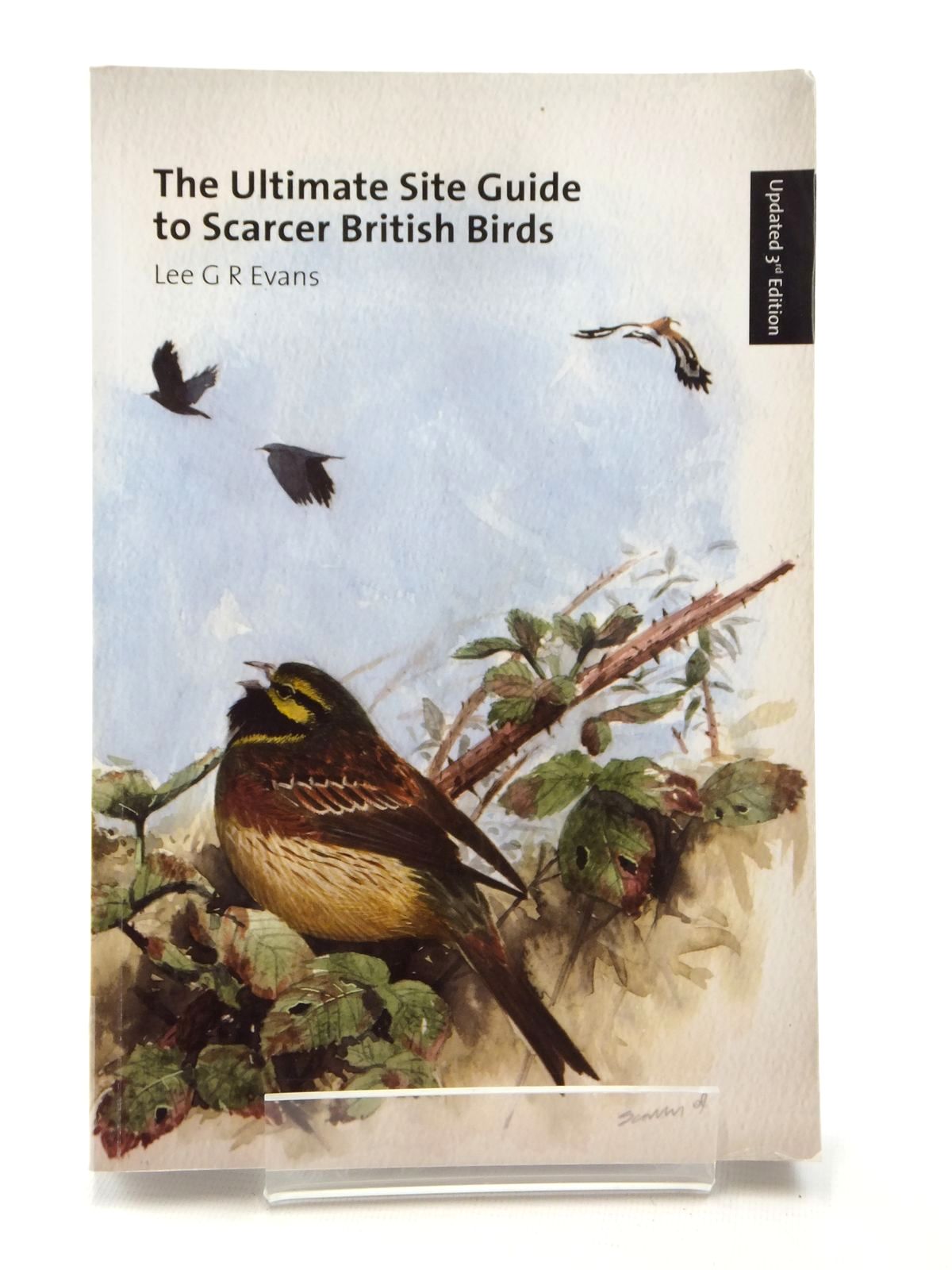 Stella & Rose's Books : THE NORTH AMERICAN BIRD GUIDE Written By David  Sibley, STOCK CODE: 1317099