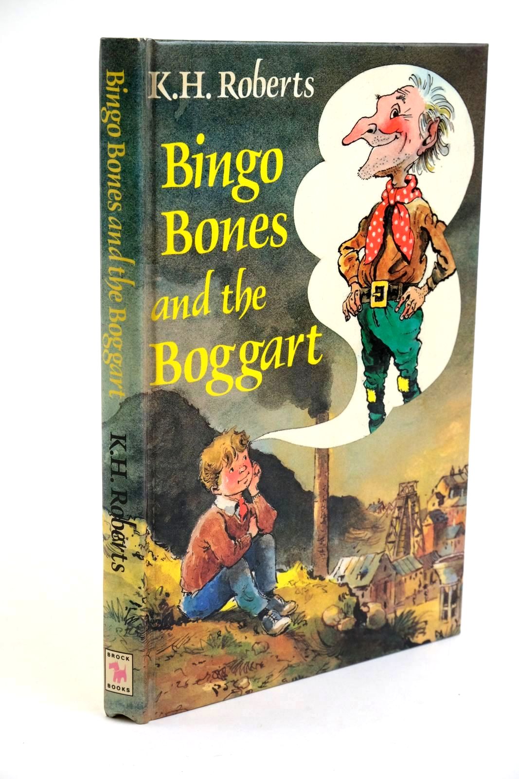 Photo of BINGO BONES AND THE BOGGART written by Roberts, K.H. illustrated by Biro, Val published by Hodder &amp; Stoughton (STOCK CODE: 1321775)  for sale by Stella & Rose's Books