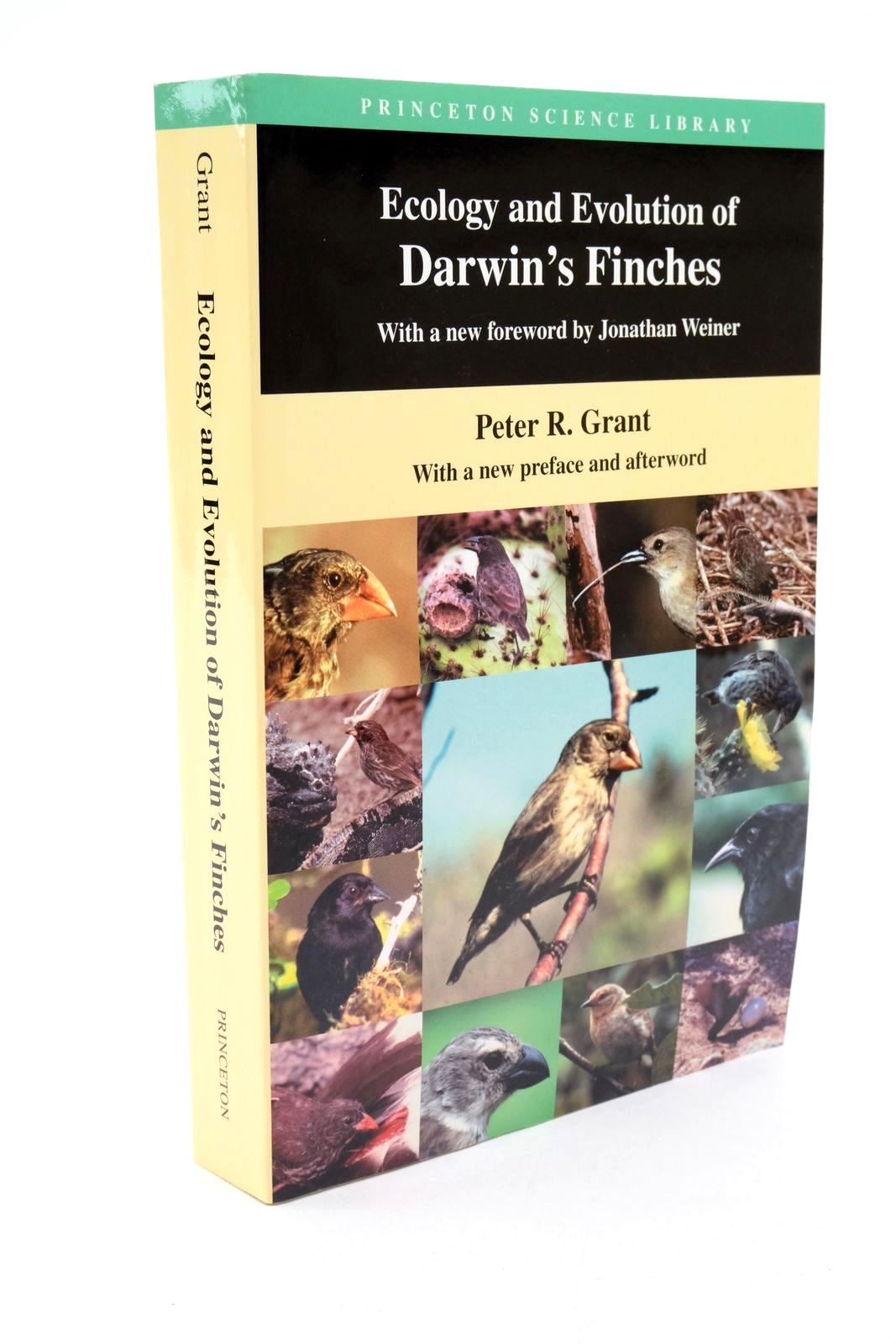 Photo of ECOLOGY AND EVOLUTION OF DARWIN'S FINCHES- Stock Number: 1322653