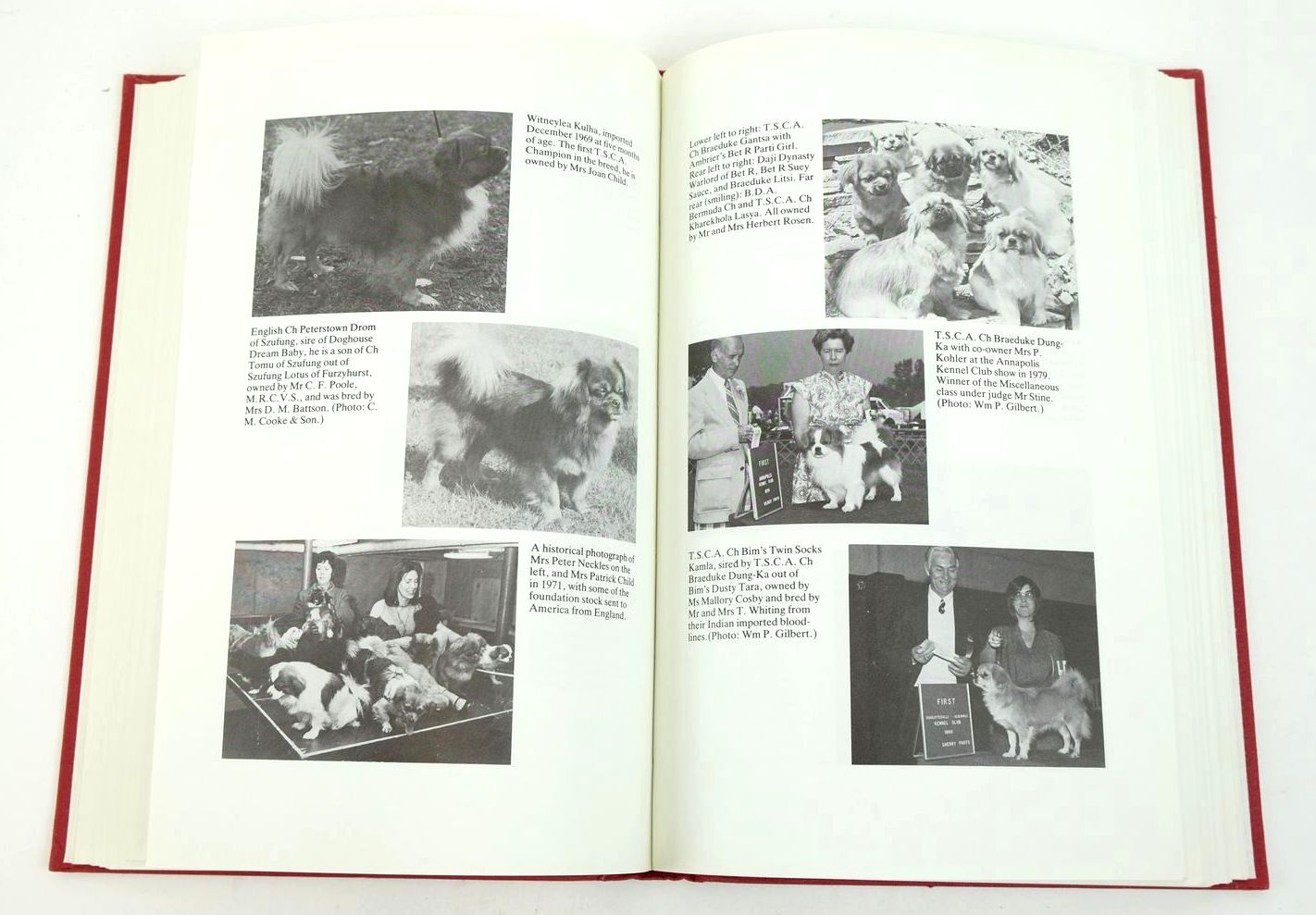 Photo of DOGS OF TIBET AND THE HISTORY OF THE TIBETAN SPANIEL written by Wynyard, Ann Lindsay published by Book World (STOCK CODE: 1323005)  for sale by Stella & Rose's Books