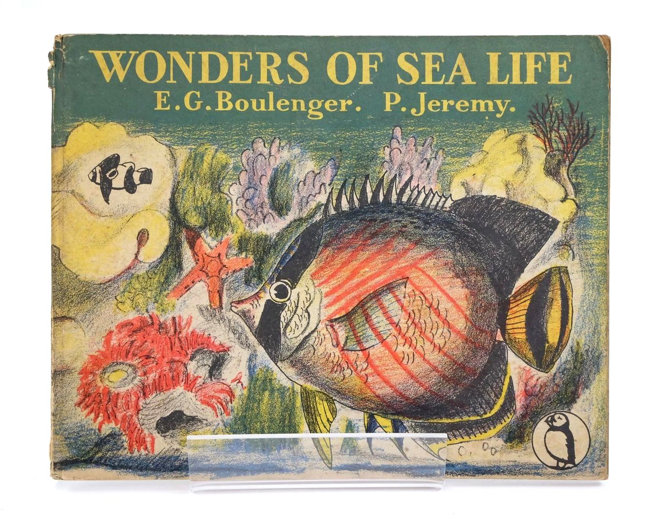 Photo of WONDERS OF SEA LIFE written by Boulenger, E.G. illustrated by Jeremy, Peggy published by Penguin Books Ltd (STOCK CODE: 1323219)  for sale by Stella & Rose's Books