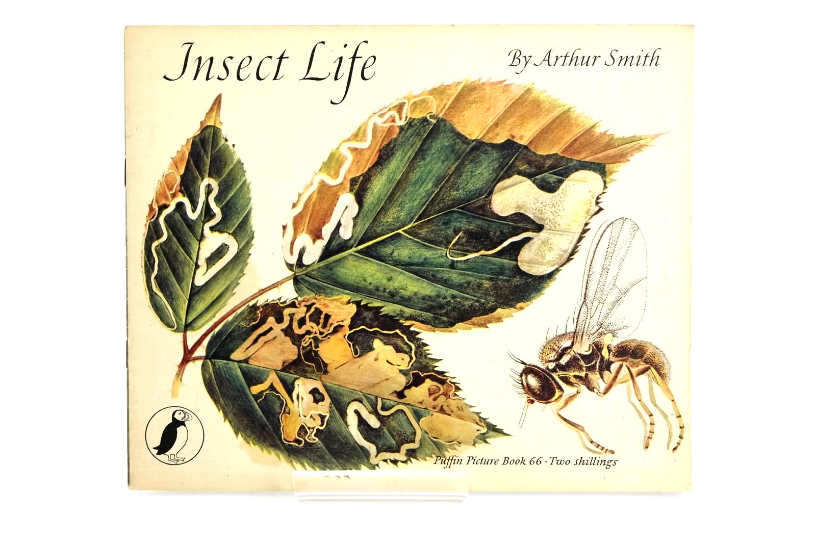 Photo of INSECT LIFE written by Smith, Arthur illustrated by Smith, Arthur published by Penguin Books Ltd (STOCK CODE: 1323331)  for sale by Stella & Rose's Books