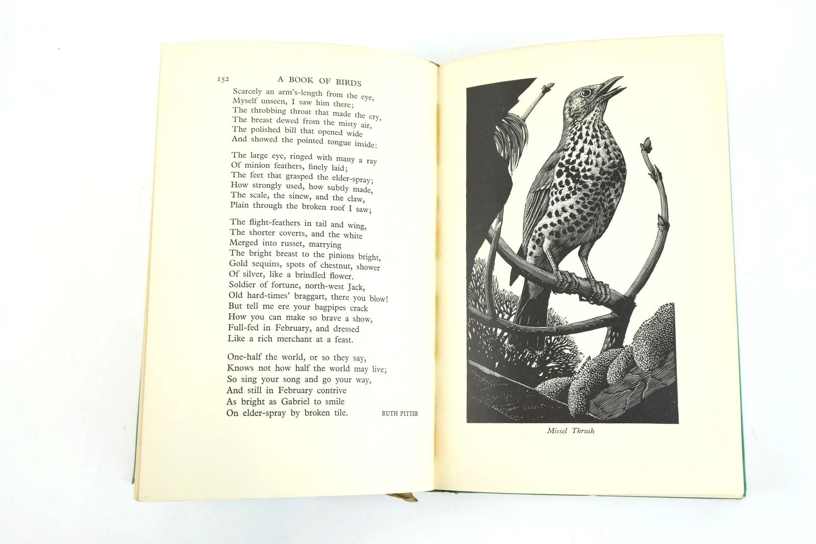 Photo of A BOOK OF BIRDS written by Priestley, Mary illustrated by Tunnicliffe, C.F. published by Victor Gollancz Ltd. (STOCK CODE: 1323728)  for sale by Stella & Rose's Books