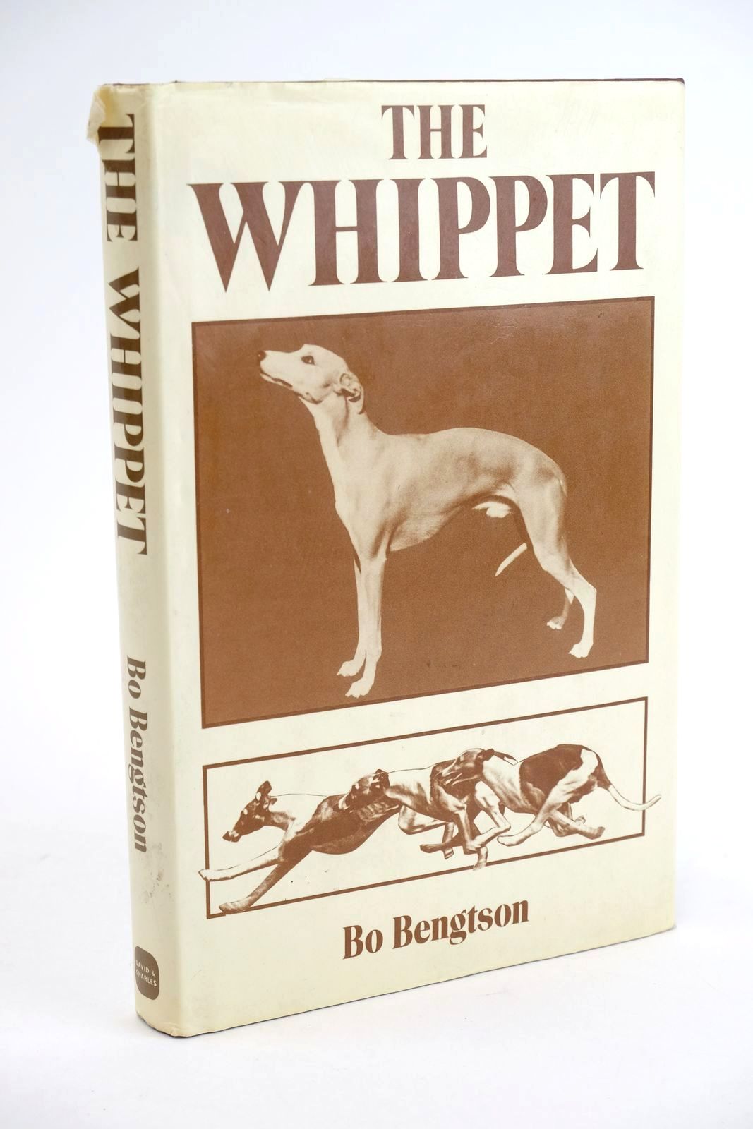 Photo of THE WHIPPET written by Bengtson, Bo published by David &amp; Charles (STOCK CODE: 1324005)  for sale by Stella & Rose's Books