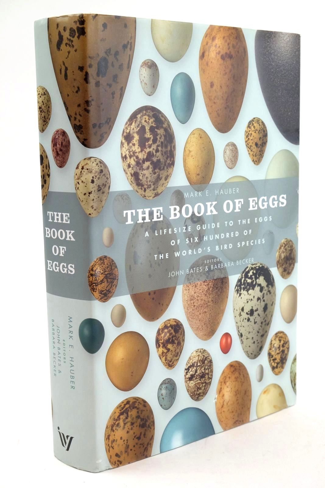 Photo of THE BOOK OF EGGS written by Hauber, Mark E. published by Ivy Press (STOCK CODE: 1324128)  for sale by Stella & Rose's Books