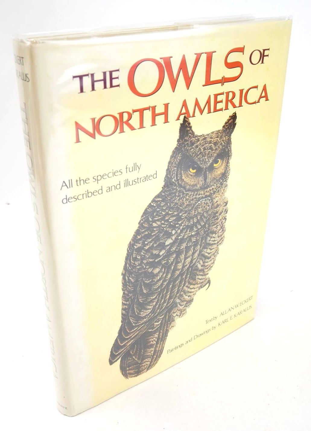 Photo of THE OWLS OF NORTH AMERICA- Stock Number: 1325736