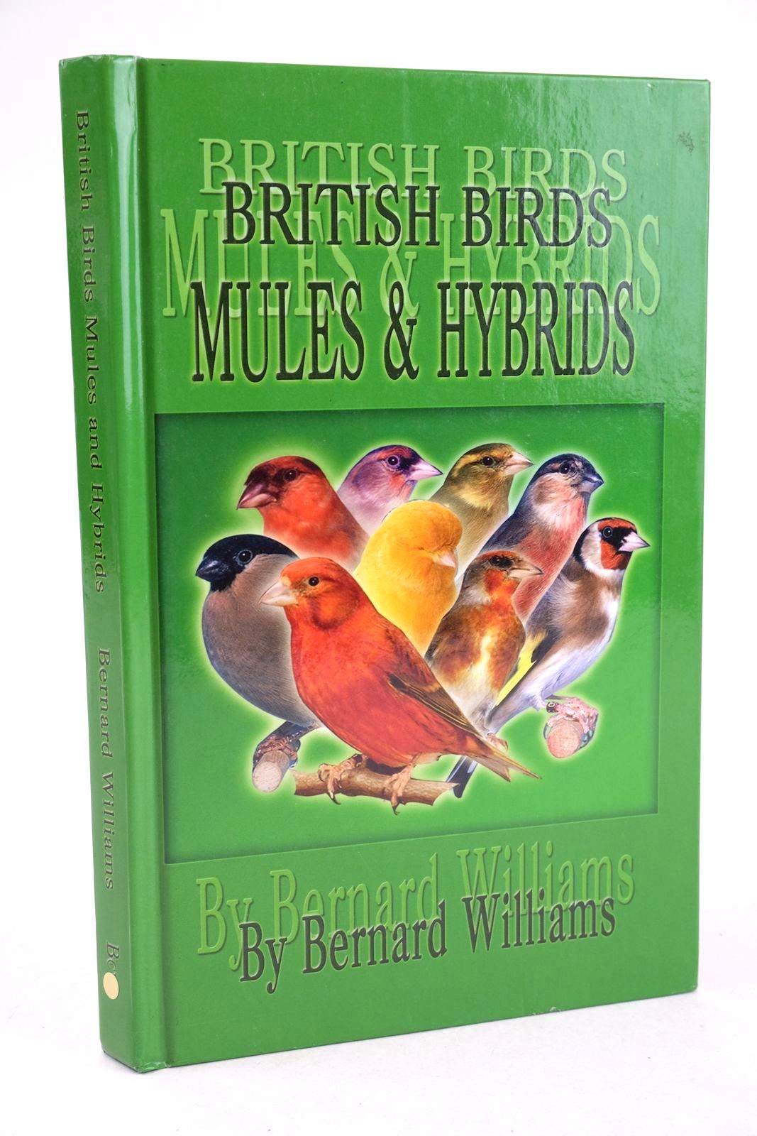 Photo of BRITISH BIRDS: MULES AND HYBRIDS- Stock Number: 1325859