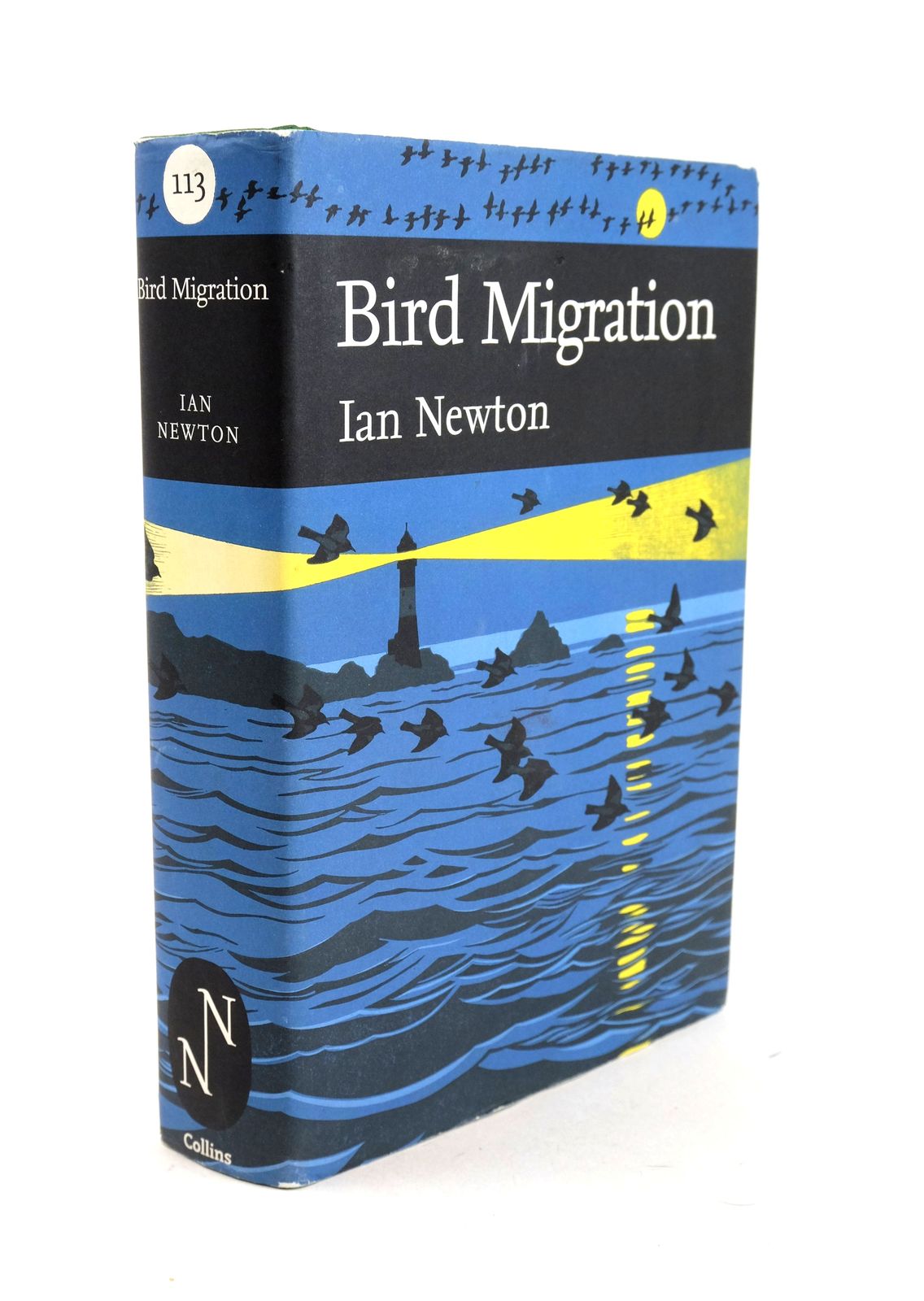 Photo of BIRD MIGRATION (NN 113)- Stock Number: 1326668