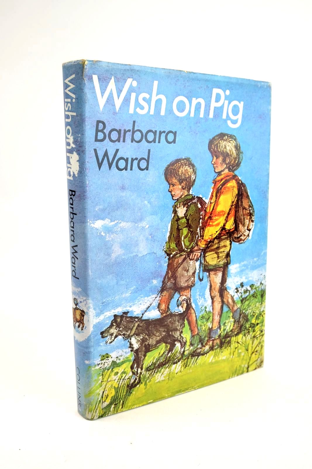 Photo of WISH ON PIG- Stock Number: 1328387