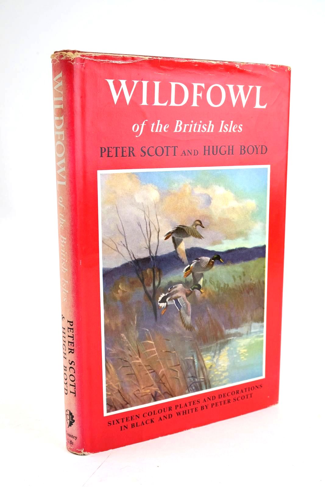 Photo of WILDFOWL OF THE BRITISH ISLES written by Scott, Peter Boyd, Hugh illustrated by Scott, Peter published by Country Life (STOCK CODE: 1328620)  for sale by Stella & Rose's Books