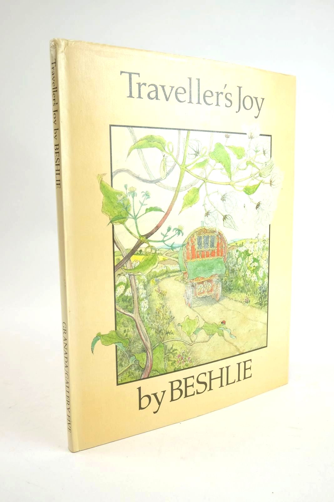 Photo of TRAVELLER'S JOY- Stock Number: 1328670