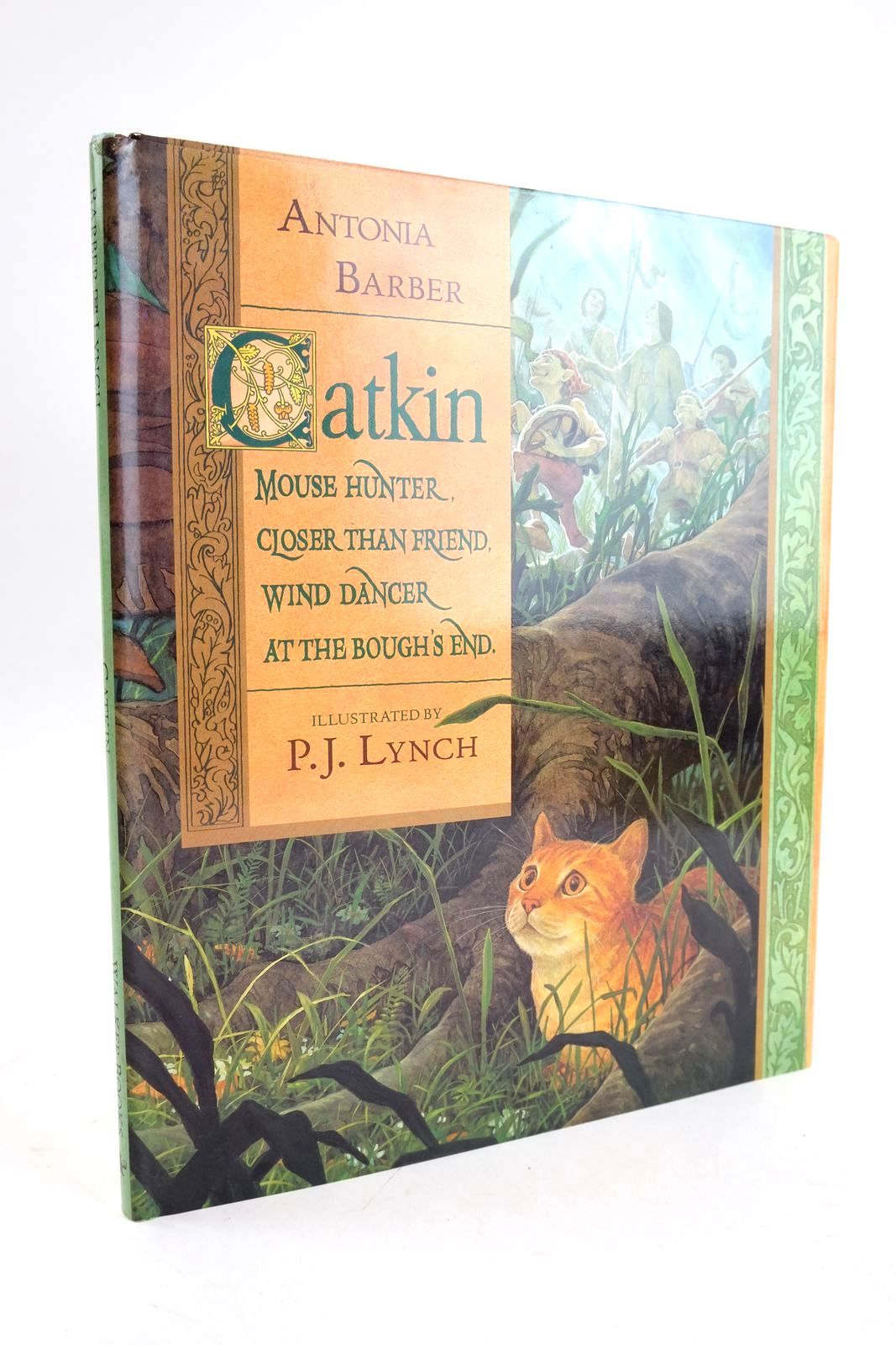 Photo of CATKIN written by Barber, Antonia illustrated by Lynch, P.J. published by Walker Books (STOCK CODE: 1328681)  for sale by Stella & Rose's Books