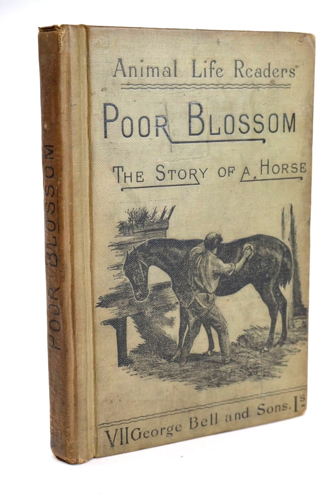 Photo of POOR BLOSSOM THE STORY OF A HORSE- Stock Number: 1328801