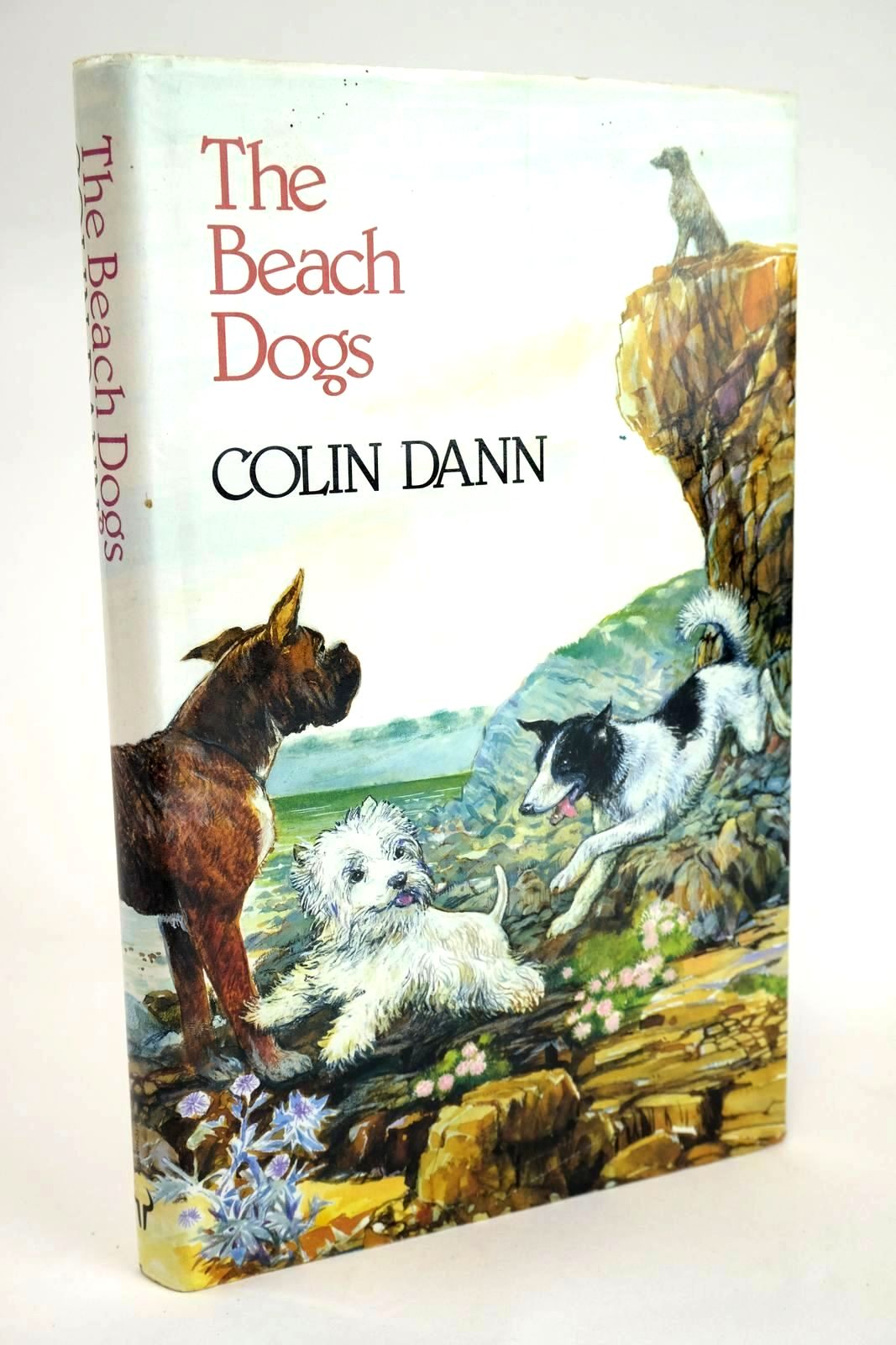 Photo of THE BEACH DOGS written by Dann, Colin published by Hutchinson Children's Books (STOCK CODE: 1328816)  for sale by Stella & Rose's Books