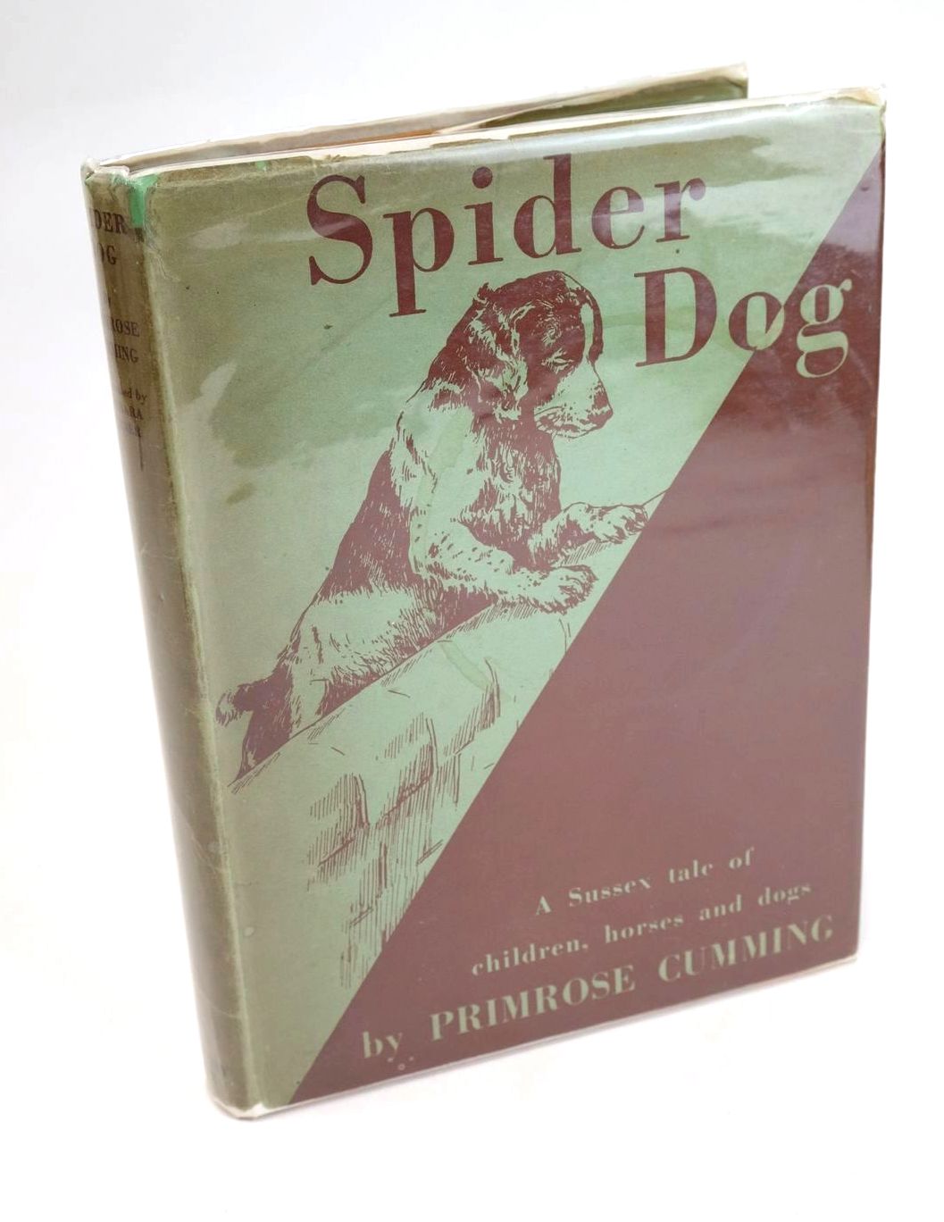 Photo of SPIDER DOG written by Cumming, Primrose illustrated by Turner, Barbara published by Country Life Ltd. (STOCK CODE: 1328891)  for sale by Stella & Rose's Books